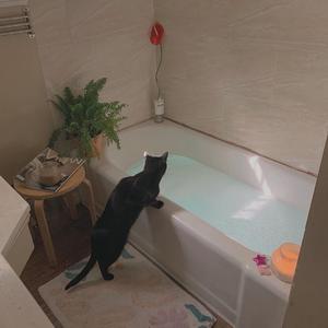 婆媳双飞3电视剧在线播放
