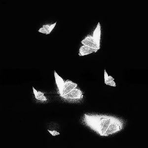 婆媳双飞3电视剧在线播放
