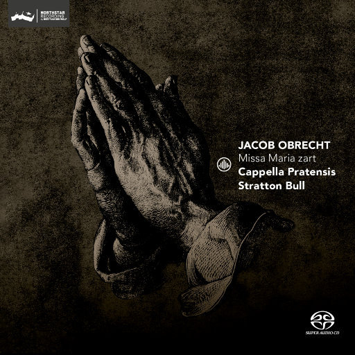 婆媳双飞3电视剧在线播放
